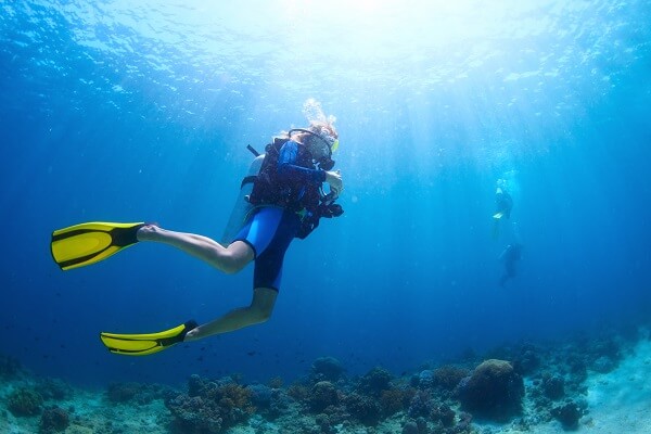 Diver