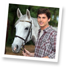 polaroid_other_equine