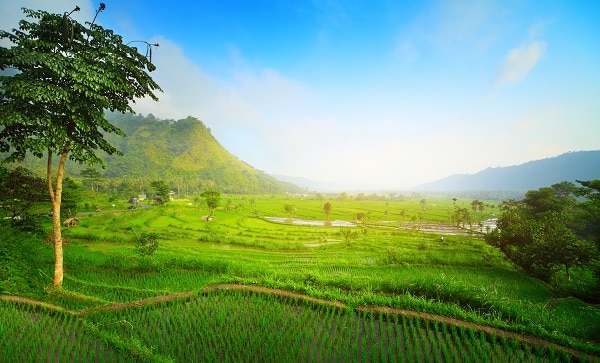 Bali Indonesia