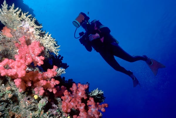 Scuba diving Fiji