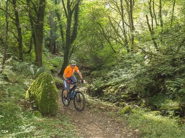 Activity-Cycling-Wales-Woodland