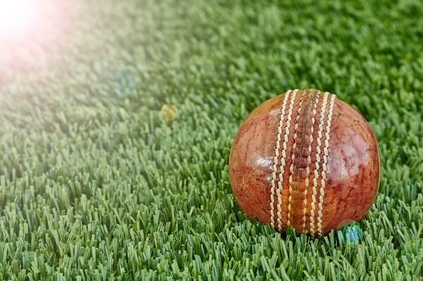 Cricket-Ball-Grass