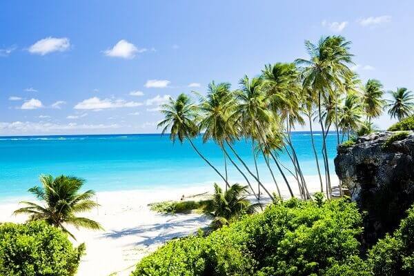 Destination-Barbados-Beach-Trees