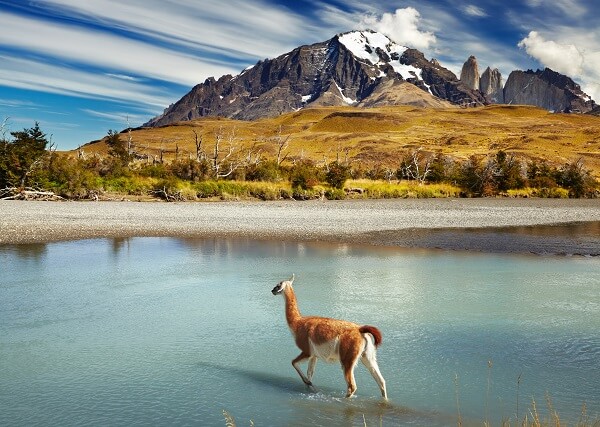 Destination-Patagonia