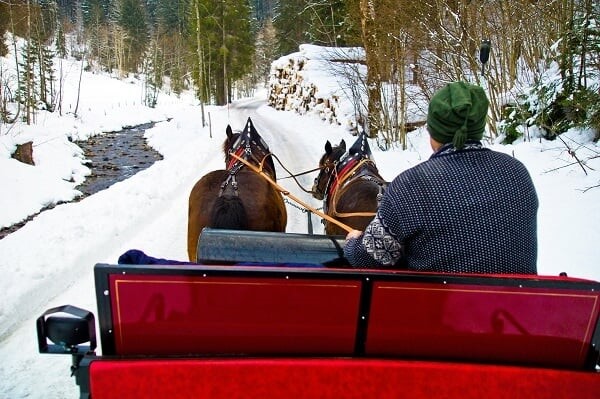Sleigh-Ride-Winter-Romance-Lapland