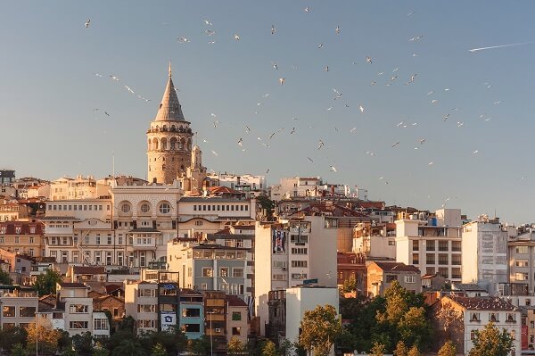 turkish rooftops with birds flying overhead